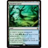 Flooded Grove A25 NM