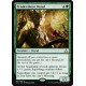 Tendershoot Dryad RIX NM