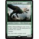 Ghalta, Primal Hunger RIX NM