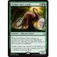 Verdant Sun's Avatar XLN NM