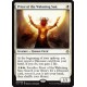 Priest of the Wakening Sun XLN NM