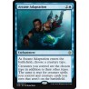 Arcane Adaptation XLN NM