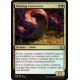 Winding Constrictor AER NM