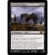 Necrotic Plague M11 NM