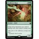 Seedborn Muse BBD NM