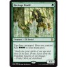 Heritage Druid EMA NM