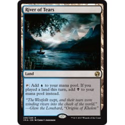 River of Tears IMA NM