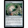 Seer's Sundial C13 NM
