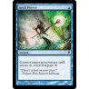 Spell Pierce ZEN NM