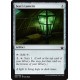 Seer's Lantern BBD NM