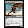 Kitesail Freebooter XLN NM