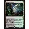 Blooming Marsh KLD NM