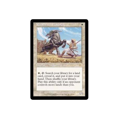 Weathered Wayfarer ONS NM