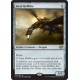 Steel Hellkite C14 NM