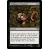 Nightmare Incursion EVE NM