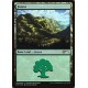Forest FOIL STANDARD SHOWDOWN 2018 PROMO NM