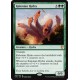 Kalonian Hydra CM2 NM