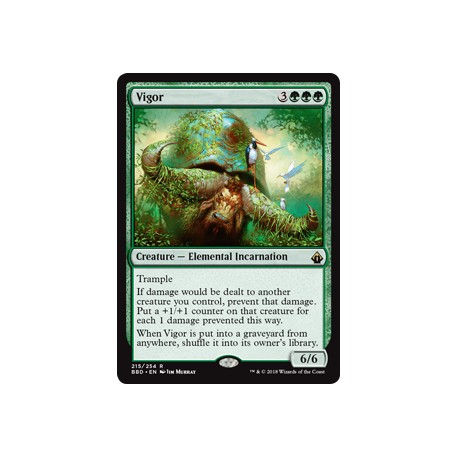 Vigor BBD NM