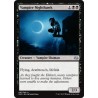 Vampire Nighthawk MM3 NM