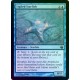 Sigiled Starfish FOIL JOU NM