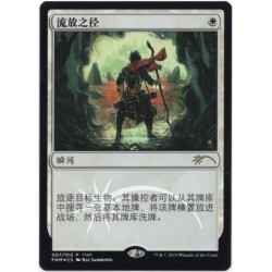 Path to Exile S CHINESE FOIL PROMO NM