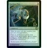 Backup Plan FOIL CNS NM