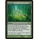 Cultivate FOIL PROMO SP+