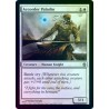 Accorder Paladin FOIL MBS NM