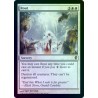 Rout FOIL CNS NM
