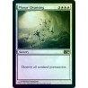 Planar Cleansing FOIL M10 SP+