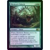 Obstinate Baloth FOIL M11 MP+ SIGNED