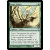 Scryb Ranger TSP SP