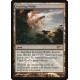 Evolving Wilds FOIL FNM PROMO SP