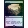 Sinkhole FOIL EMA NM