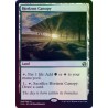 Horizon Canopy FOIL IMA NM
