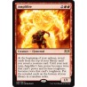 Amplifire RNA NM
