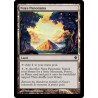 Naya Panorama C13 NM