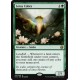 Lotus Cobra IMA NM