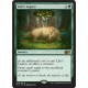 Life's Legacy M15 NM