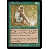 Wall of Roots MIR SP