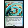 Biomantic Mastery C15 NM