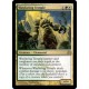 Wayfaring Temple RTR NM