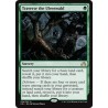 Traverse the Ulvenwald SOI SP