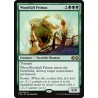 Woodfall Primus UMA NM