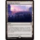 Mobilized District WAR NM