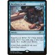 Merchant Scroll FOIL JUDGE PROMO NM