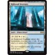 Hallowed Fountain RNA NM