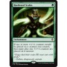 Hardened Scales C16 NM