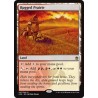 Rugged Prairie A25 NM
