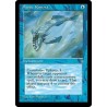 Mystic Remora ICE NM